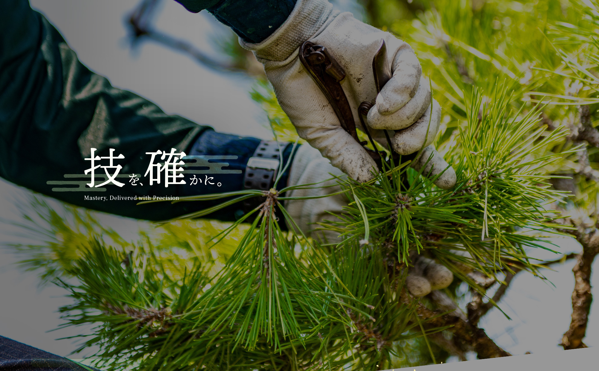 技術を、確かに。
